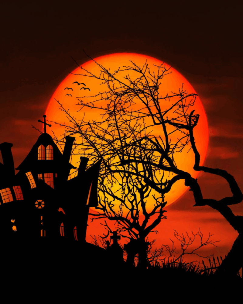 > 1. Soirée Halloween Clé en Main – Immersion, Frissons et Émerveillement