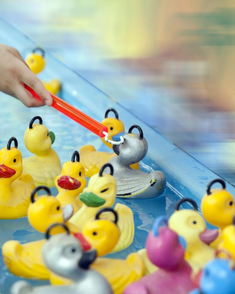 pêche aux canards